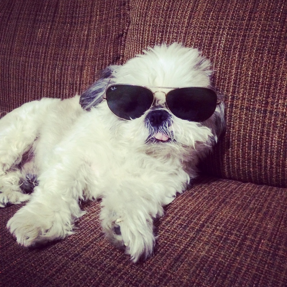 Meet your Posher, James